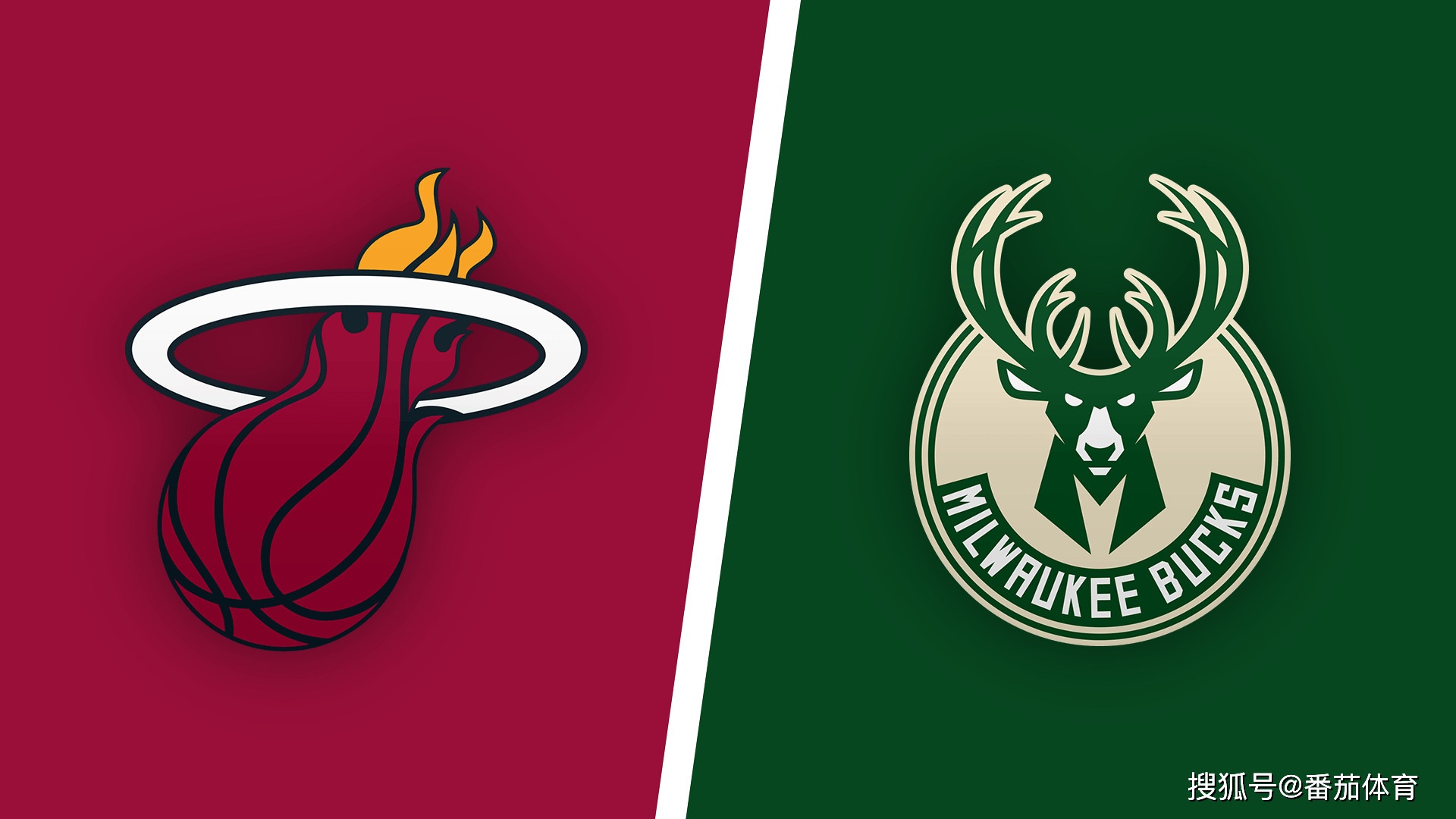 恰恰突显了 恰恰突显了