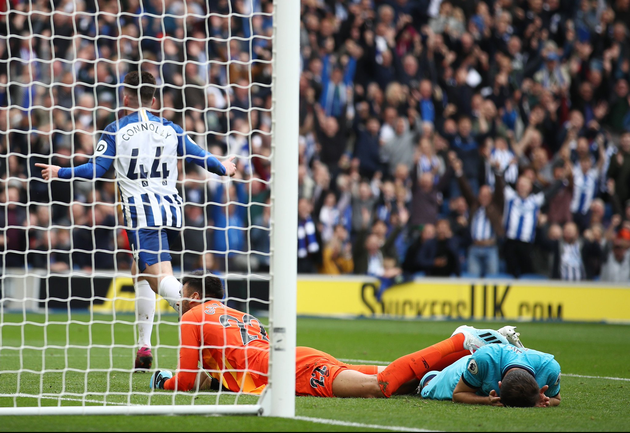 仅展示了球 仅展示了球